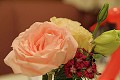 ad2010_028