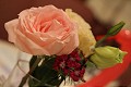 ad2010_029