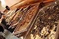ad2010_058